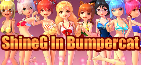 Купить дешево ShineG In Bumpercar Купить ключ дешево ShineG In Bumpercar