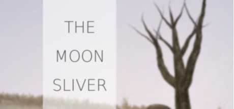 Купить дешево The Moon Sliver + The Music Machine Купить ключ дешево The Moon Sliver + The Music Machine