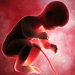 Купить дешево Baby Run 4D. Run 1 2 3 (Mobile) Купить ключ дешево Baby Run 4D. Run 1 2 3 (Mobile)