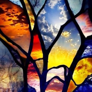 Купить дешево 125 Photo Crosswords (Mobile) Купить ключ дешево 125 Photo Crosswords (Mobile)