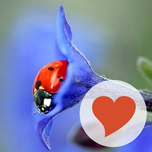 Купить дешево 616 Words (Mobile) Купить ключ дешево 616 Words (Mobile)