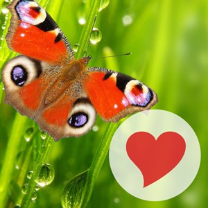 Купить дешево 400 Exceptional Words II (Mobile) Купить ключ дешево 400 Exceptional Words II (Mobile)