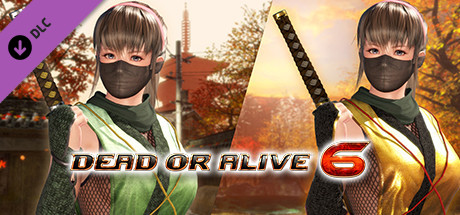 Купить дешево DOA6 Morphing Ninja Costume. Hitomi Купить ключ дешево DOA6 Morphing Ninja Costume. Hitomi