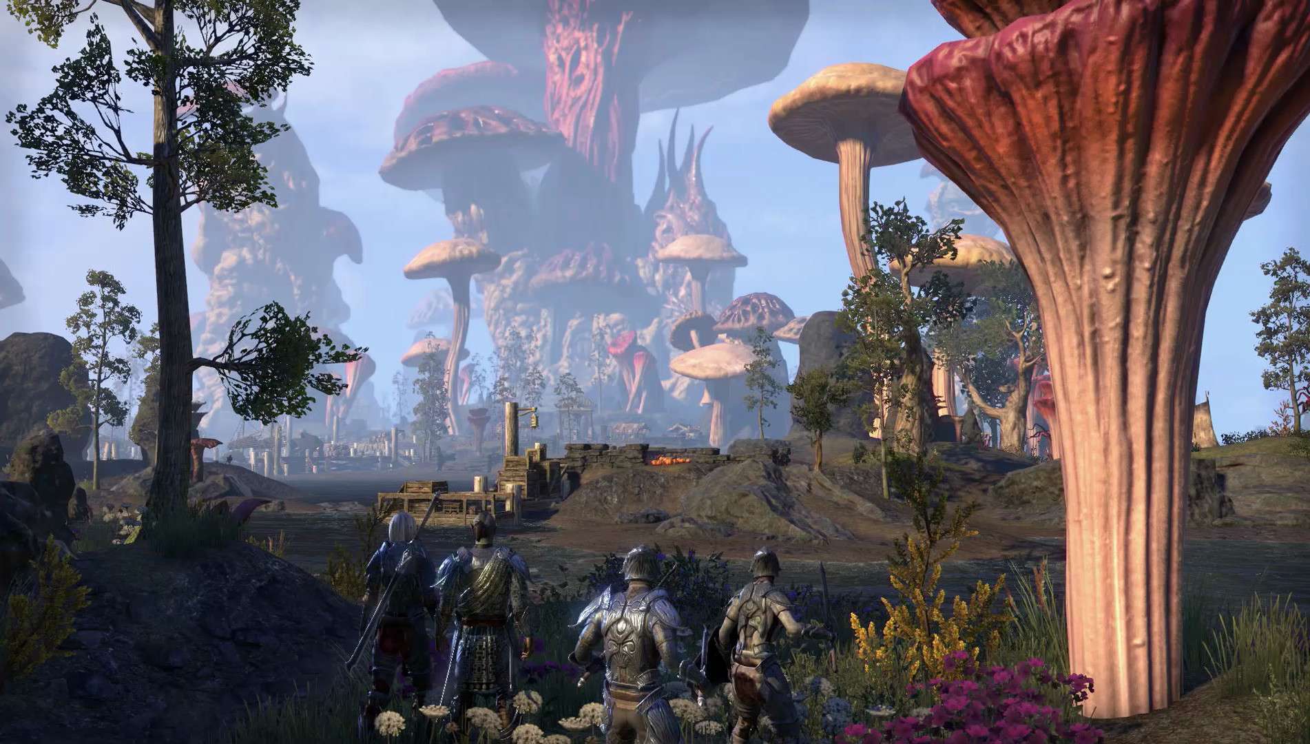 Купить The Elder Scrolls Online — Morrowind Upgrade дешево