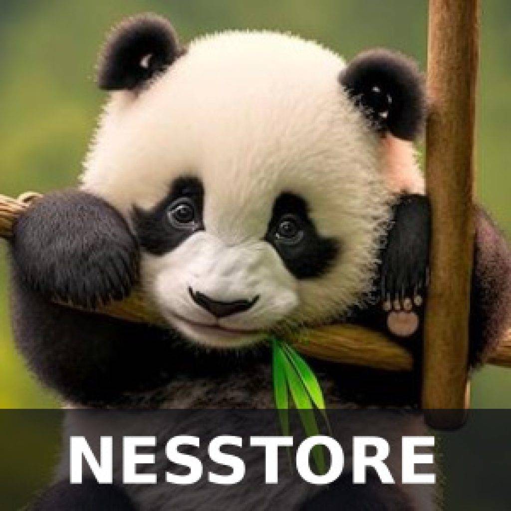 Описание и отзывы магазина NESSTORE