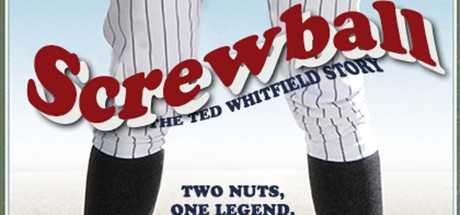 Купить ключ дешево Screwball