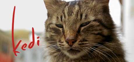 Купить ключ дешево Kedi