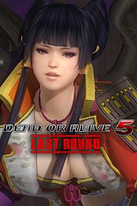 Купить ключ дешево DOA5LR. мэшап Senran Kagura. Нётэнгу