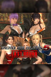 Купить ключ дешево DEAD OR ALIVE 5 Last Round. набор костюмов Красавицы зайки