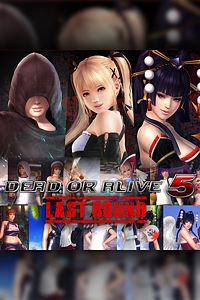 Купить ключ дешево DEAD OR ALIVE 5 Last Round. Свежая кровь + костюмы