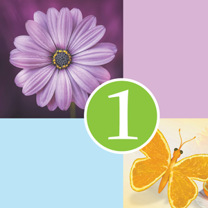 Купить ключ дешево 1 Clue (Mobile)