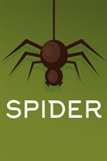 Купить ключ дешево Spider Classic Solitaire