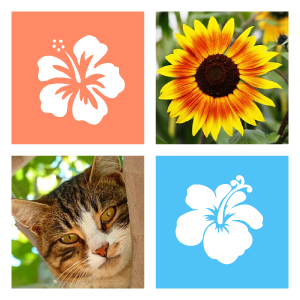 Купить ключ дешево Word Square (Mobile)