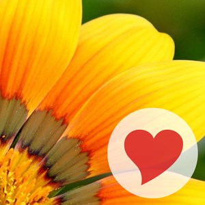 Купить ключ дешево 380 Words (Mobile)