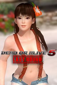 Купить ключ дешево DOA5LR. пляжная вечеринка Лэйфан