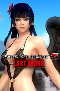 Купить ключ дешево DOA5LR. новый претендент Нётэнгу