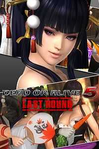 Купить ключ дешево DOA5LR. набор Максимум для Нётэнгу