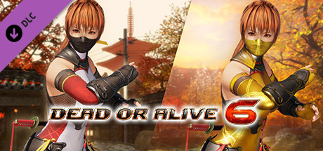 Купить ключ дешево DOA6 Morphing Ninja Costume. Kasumi