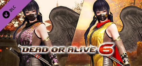 Купить ключ дешево DOA6 Morphing Ninja Costume. Nyotengu