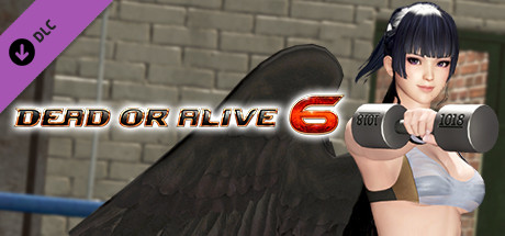 Купить ключ дешево DOA6 Energy Up! Training Wear. Nyotengu