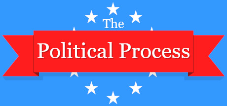Купить The Political Process