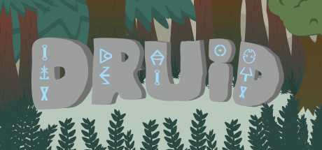 Купить Druid