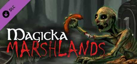 Купить ключ дешево Magicka. Marshlands