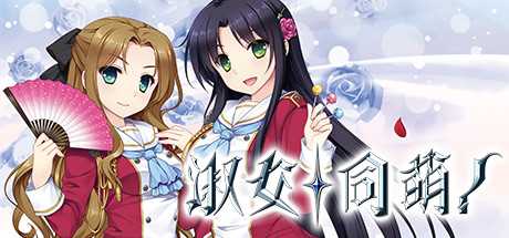 Купить 淑女同萌！