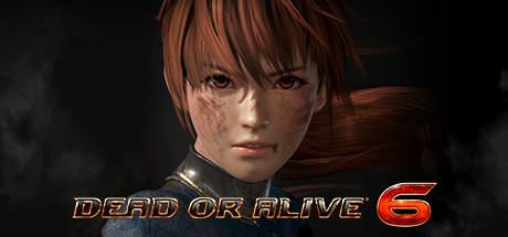 Купить ключ дешево DEAD OR ALIVE 6