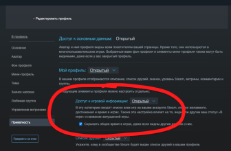 Настройки профиля в Steam