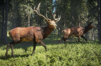 Купить theHunter: Call of the Wild дешевле, чем в Steam